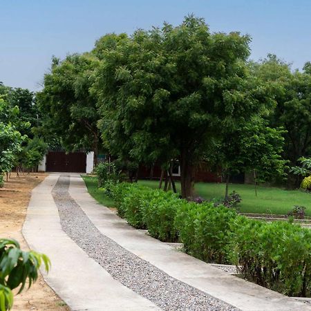 Stayvista's Glasshouse: Orchard Farmstay with Pool and Relaxation Gurgaon Exterior photo